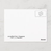 Postkarte für tropische Vögel (Rückseite)