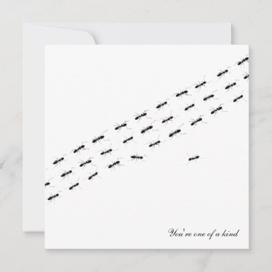 Postkarte für unabhängige Ameisen (Vorderseite)