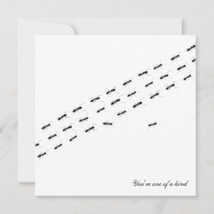 Postkarte für unabhängige Ameisen