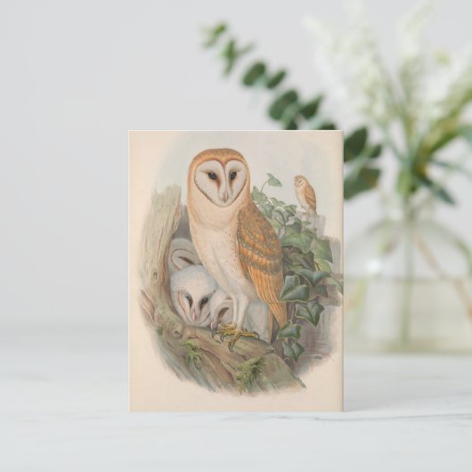 Postkarte für Vintage Barschenauge (Stehend Vorderseite)