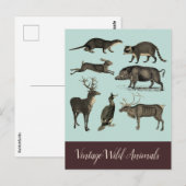Postkarte für Vintage wild lebende Tiere (Vorne/Hinten)