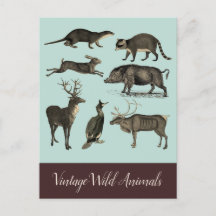 Postkarte für Vintage wild lebende Tiere