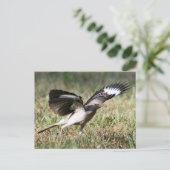 Postkarte für Vogel-Foto (Stehend Vorderseite)
