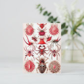 Postkarte für Web Crawlers (Stehend Vorderseite)