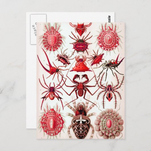 Postkarte für Web Crawlers (Vorne/Hinten)