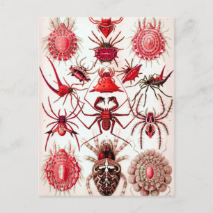 Postkarte für Web Crawlers