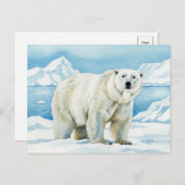 Postkarte für Weißbären (Vorne/Hinten)