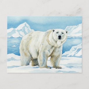 Postkarte für Weißbären