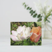 Postkarte für weißes Rosa und orangefarbene Tulpen (Stehend Vorderseite)