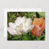 Postkarte für weißes Rosa und orangefarbene Tulpen (Vorne/Hinten)