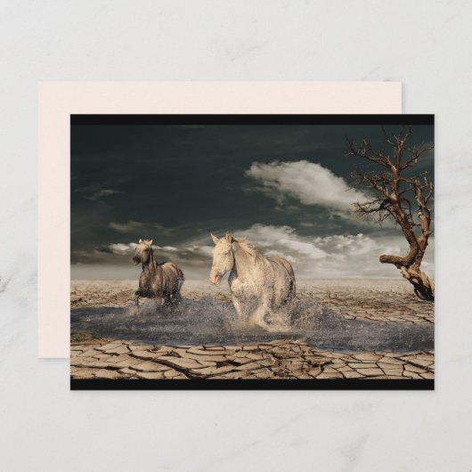 Postkarte für Wüstenpferde (Vorne/Hinten)
