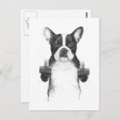 Postkarte für Zensurhund (Vorne/Hinten)