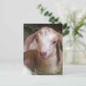 Postkarte für Ziege (Stehend Vorderseite)