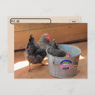 Postkarte für zwei dunkle Niedliche Hühner