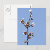 Postkarte für Zweigstellen (Vorne/Hinten)