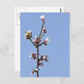 Postkarte für Zweigstellen (Vorne/Hinten)