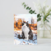 Postkarte "Fuzzer" (Stehend Vorderseite)