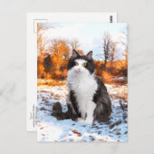 Postkarte "Fuzzer" (Vorne/Hinten)