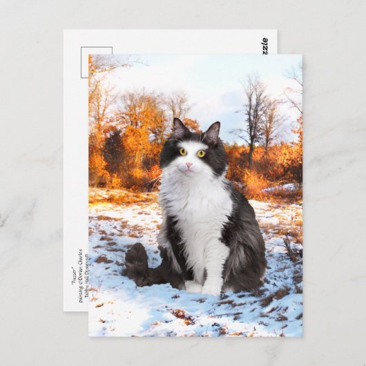 Postkarte "Fuzzer" (Vorne/Hinten)