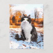 Postkarte "Fuzzer" (Vorderseite)