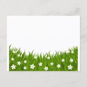 Postkarte Gänseblümchen und Gras
