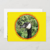 Postkarte - Gänsehaut (Vorne/Hinten)