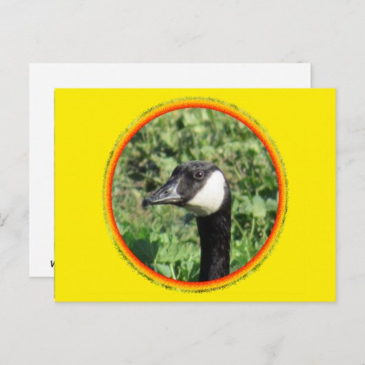 Postkarte - Gänsehaut (Vorne/Hinten)