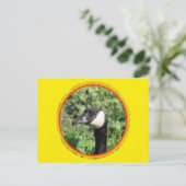Postkarte - Gänseporträt (Stehend Vorderseite)