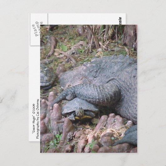 Postkarte "Gator Hugs" (Vorne/Hinten)