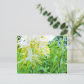 Postkarte - Gelbe Blume (Stehend Vorderseite)