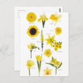 Postkarte Gelbe Blumen (Vorne/Hinten)