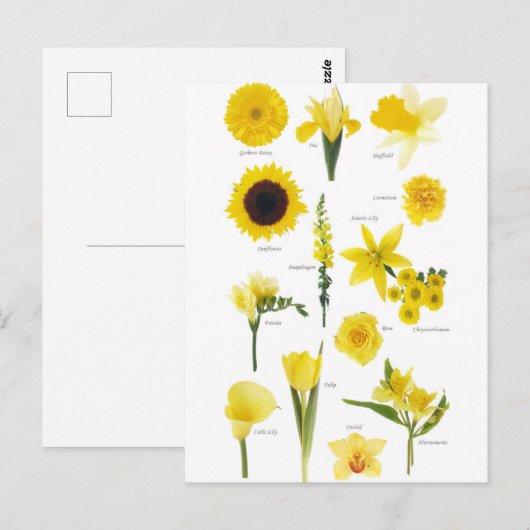 Postkarte Gelbe Blumen (Vorne/Hinten)