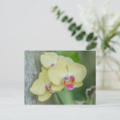 Postkarte - Gelbes Orchid (Stehend Vorderseite)