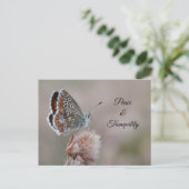 Postkarte Gemeine Bläuling-Schmetterling (Stehend Vorderseite)
