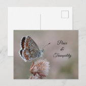 Postkarte Gemeine Bläuling-Schmetterling (Vorne/Hinten)