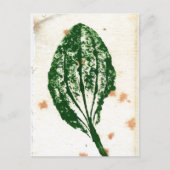 Postkarte "Gemeinsamer Planet" (Vorderseite)