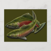 Postkarte - Gewohnte BC Wildlife Postkarten (Vorderseite)