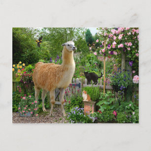 Postkarte "Gigi The Llama"
