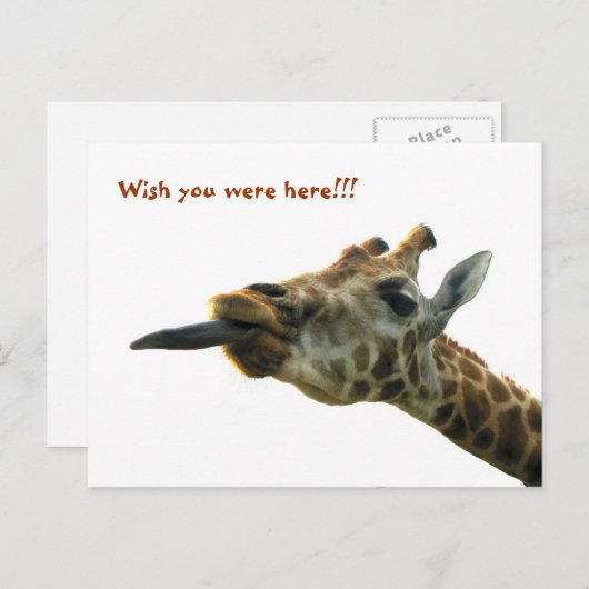 Postkarte - Giraffe (Vorne/Hinten)