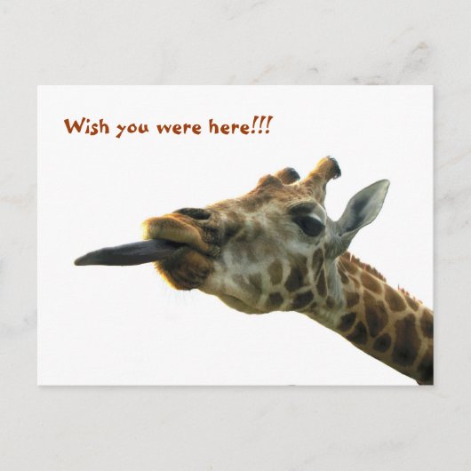 Postkarte - Giraffe (Vorderseite)