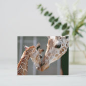 Postkarte Giraffe und Baby (Stehend Vorderseite)