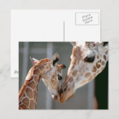 Postkarte Giraffe und Baby (Vorne/Hinten)