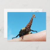 Postkarte Giraffebeetts (Vorne/Hinten)