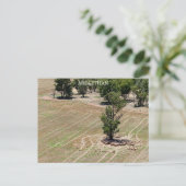 Postkarte glatte Textur (Stehend Vorderseite)