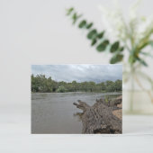Postkarte glatte Textur (Stehend Vorderseite)