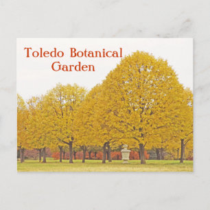 POSTKARTE, "GOLDENBÄUME" TOLEDO BOTANISCHER GARTEN POSTKARTE