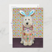 Postkarte Goldendoodle Ostern (Vorne/Hinten)