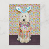 Postkarte Goldendoodle Ostern (Vorderseite)