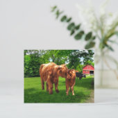 Postkarte "Gracie & Her Calf" (Stehend Vorderseite)