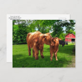 Postkarte "Gracie & Her Calf" (Vorne/Hinten)